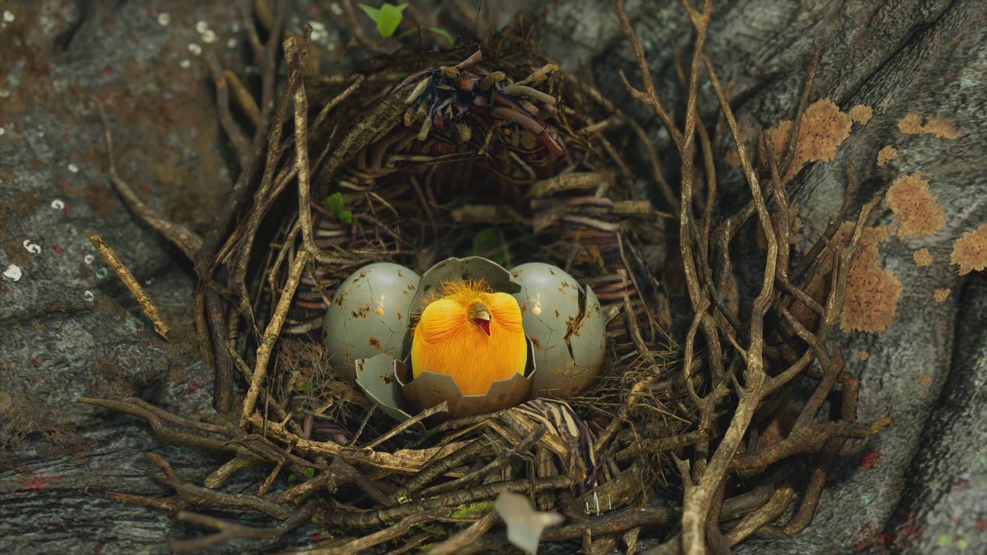 Hogwarts Legacy Ein Vogel in der Hand - Lösung des Türrätsels