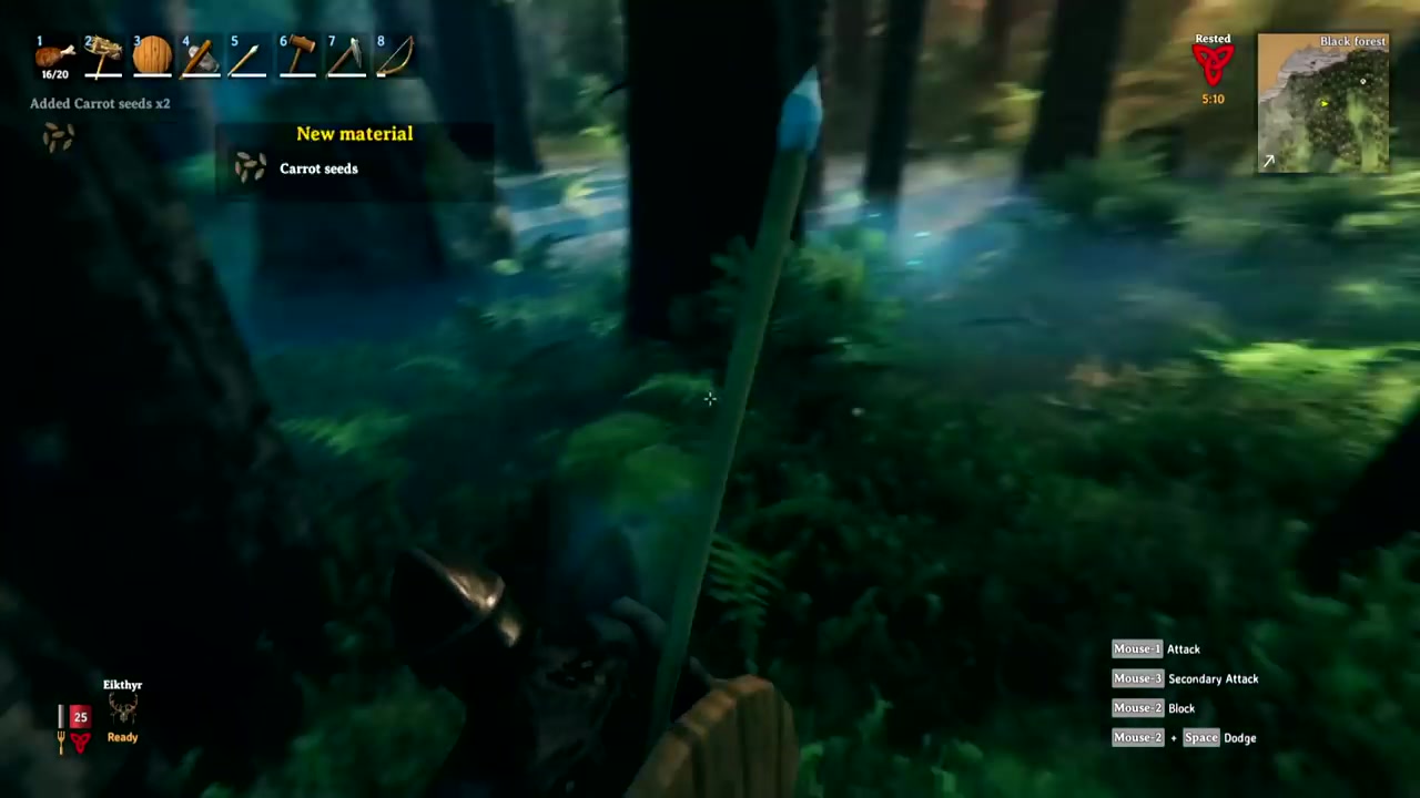 -iass-valheim-50-tips-and-tricks-very-useful-0932.jpg
