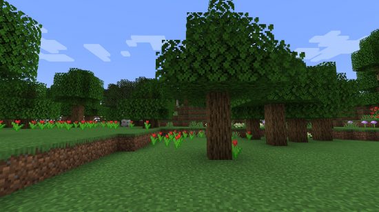 minecraft-biomes-forest-1-550x309.jpg