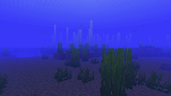 minecraft-biomes-ocean-1-550x309.jpg