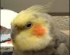 DSC00032.JPG