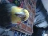 DSC00185.JPG