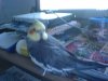 DSC00186.JPG