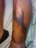 tattoo4.jpg