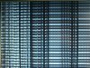 DSC08597.JPG