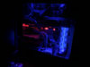 P1X21816.jpg