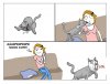IT8J0.jpg