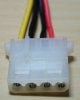 molex-4pin-stecker.jpg
