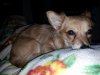 20130114_071809.jpg