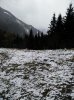 IMG_20150401_124719.jpg