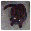 Antulamatsch