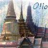 ollo