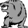 Silver_Bear