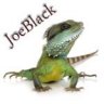 JoeBlack_666