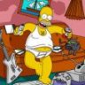 homer the pc noob