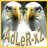 adler-x2